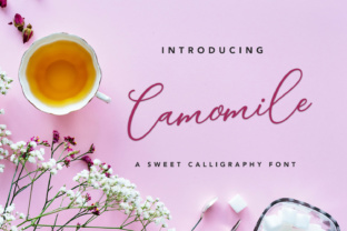 Camomile Script: A Typeface for Elegant Editorial Design