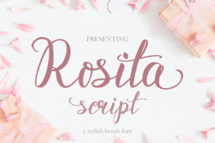 Choosing Rosita Script for Modern Web Typography