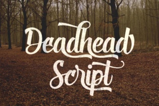 Deadhead Script: A Playful Typeface for Digital Design