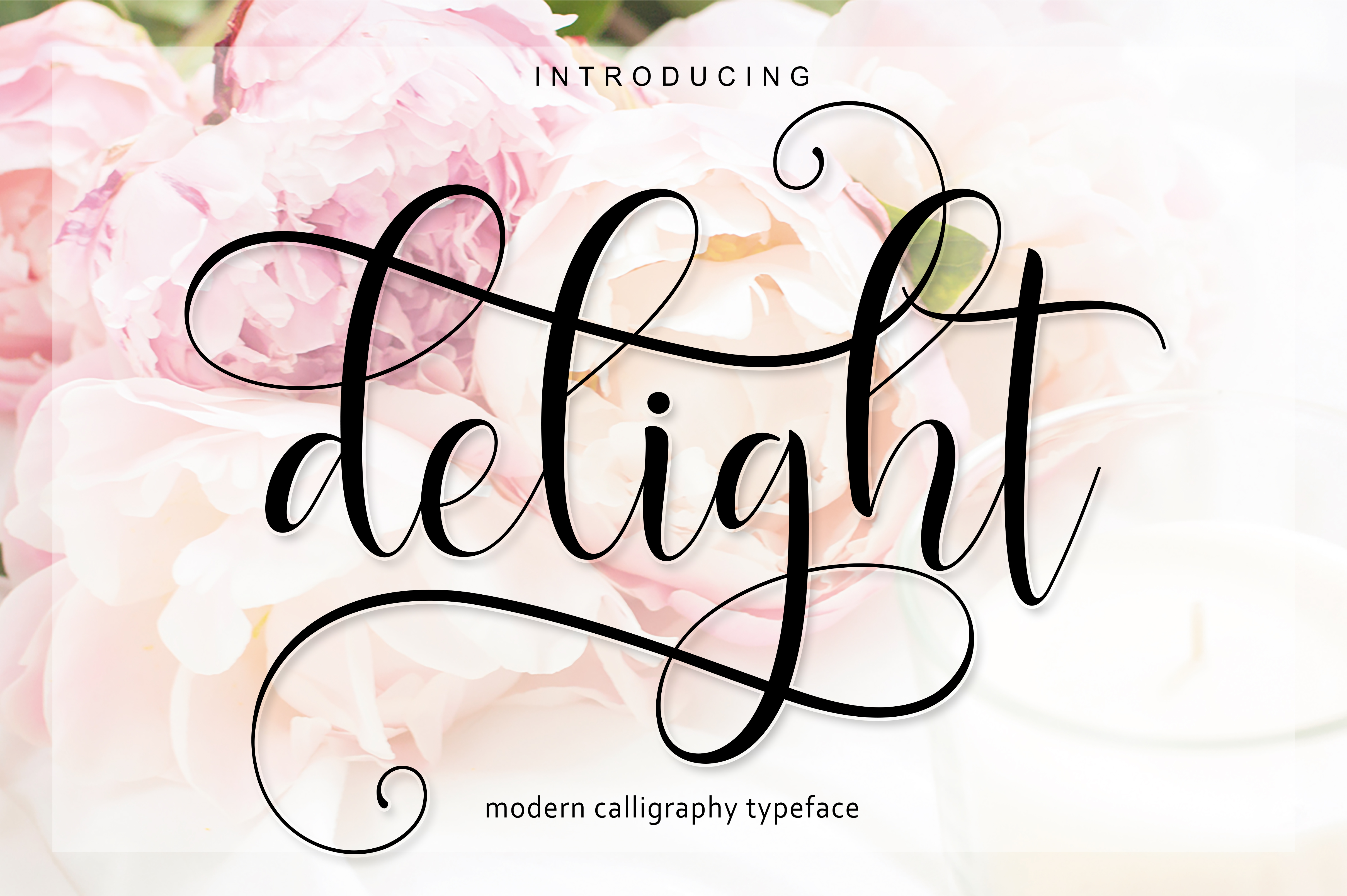 Delight Script Review: A Designer’s Take