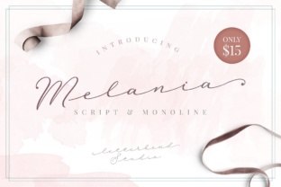 Memoria Script: A Feminine Font for Memorable Branding