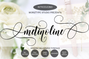 Metinoline Script: A Versatile Typeface for Editorial Design