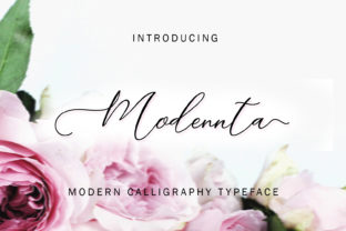 Modennta Script: A Stylish Typeface That Elevates Your Campaigns