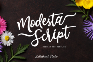 Modesta Script: A Feminine Typeface for Editorial Elegance