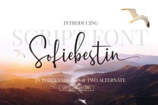 Sofiebestin Script: The Premium Font That Elevates Your Campaigns